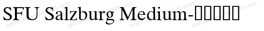 SFU Salzburg Medium字体转换